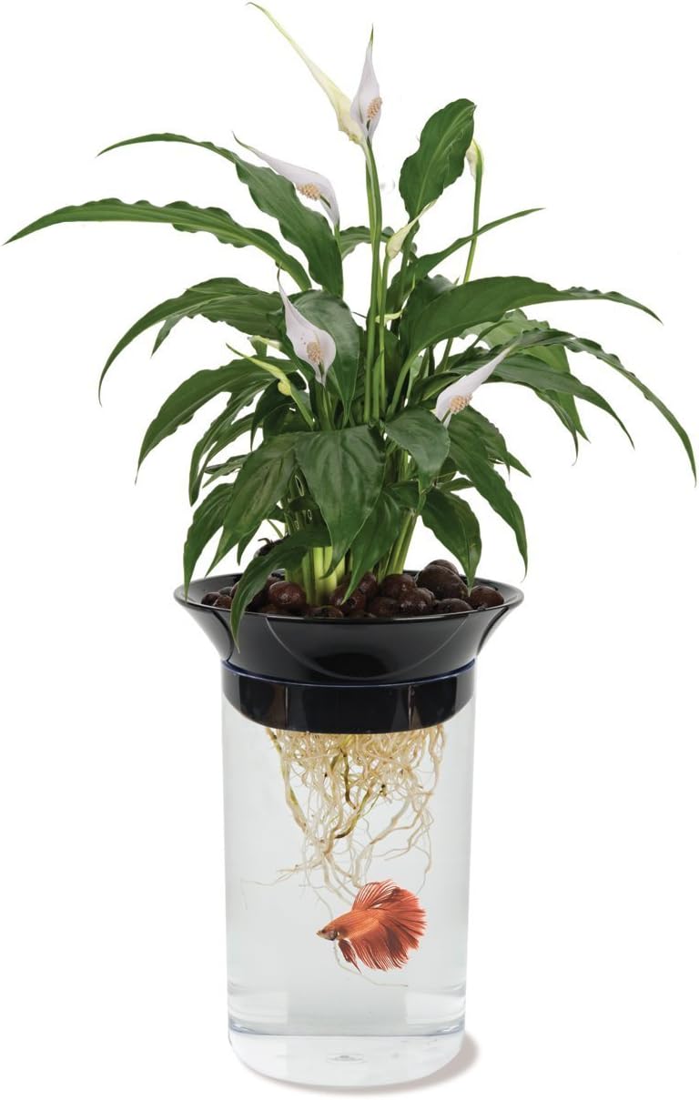 Penn-Plax Aquaponic Planter and Aquarium for Betta Fish Tank Promotes