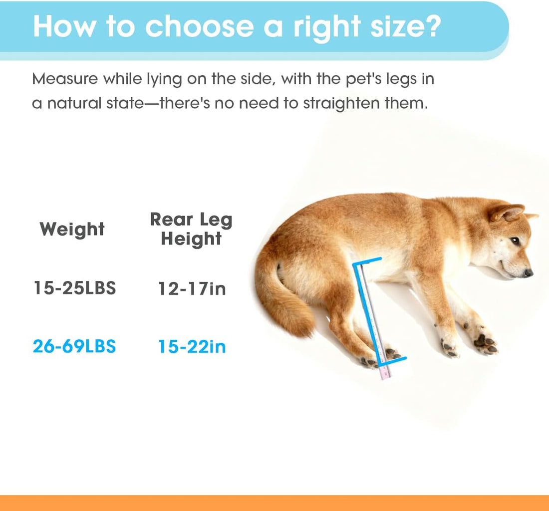 TailWaggers Dog Wheelchair for Back Legs | Adjustable Mobility Aid