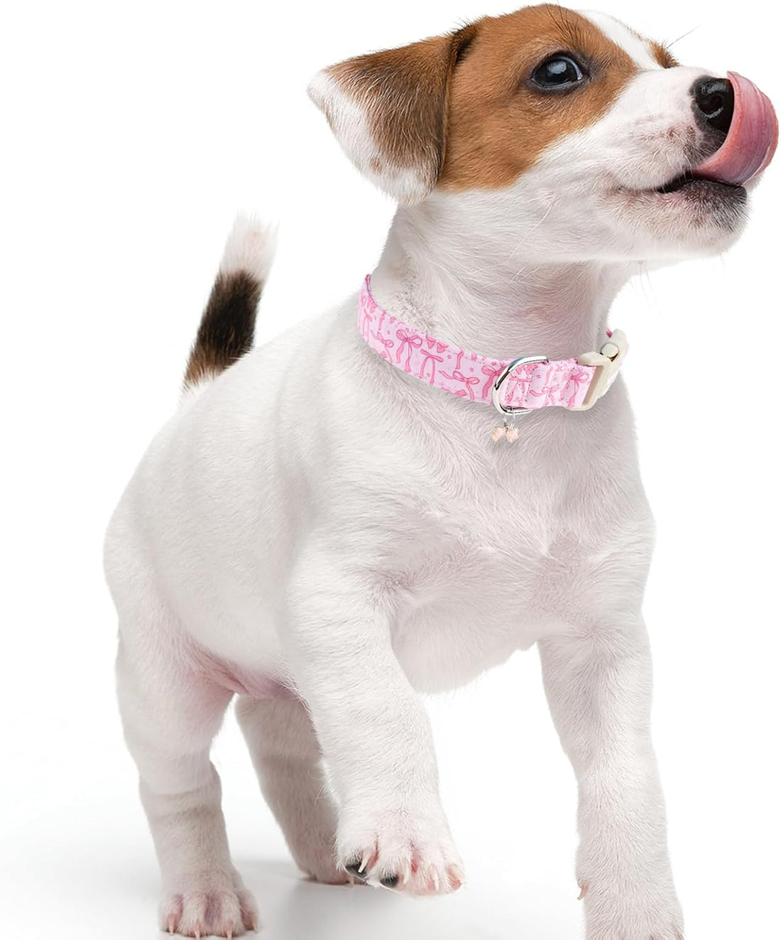 Faygarsle Cute Pink Bow Pattern Dog Collar for Summer Spring