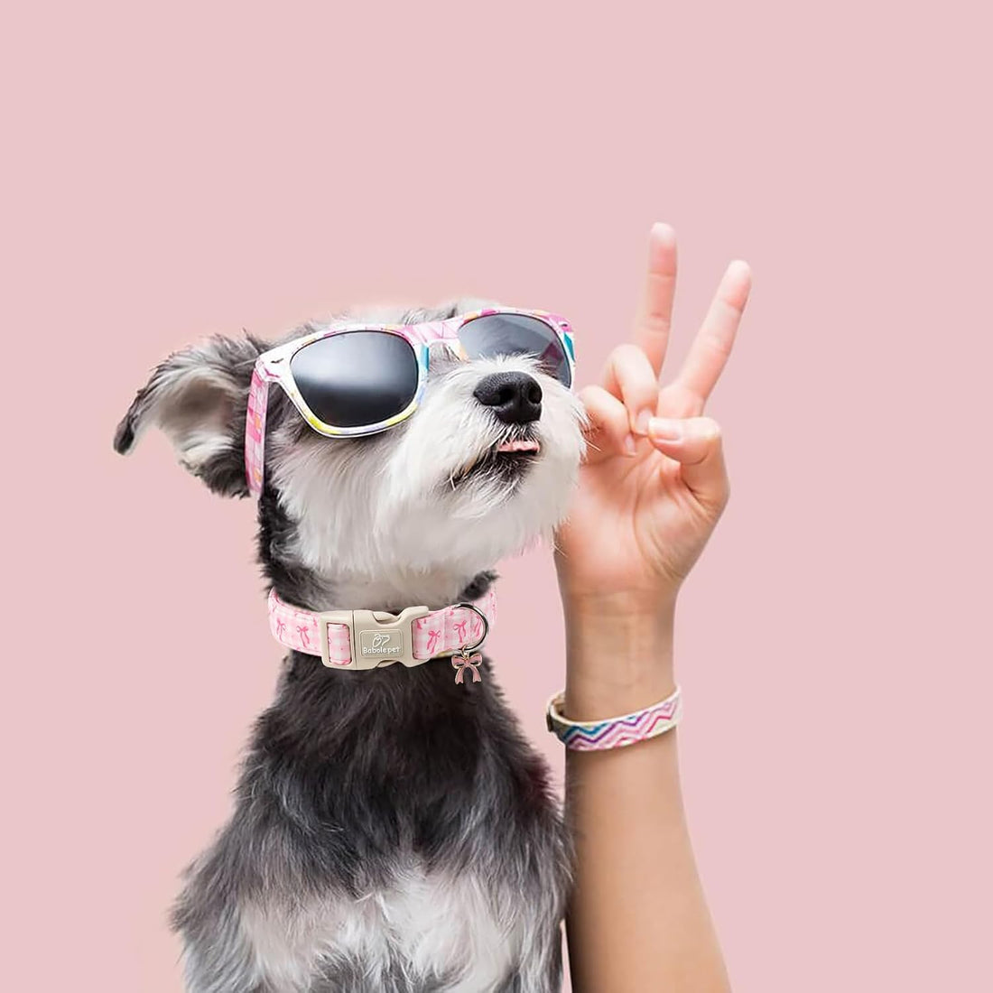 Babole Pet Girl Dog Collar for Puppy Small Dogs