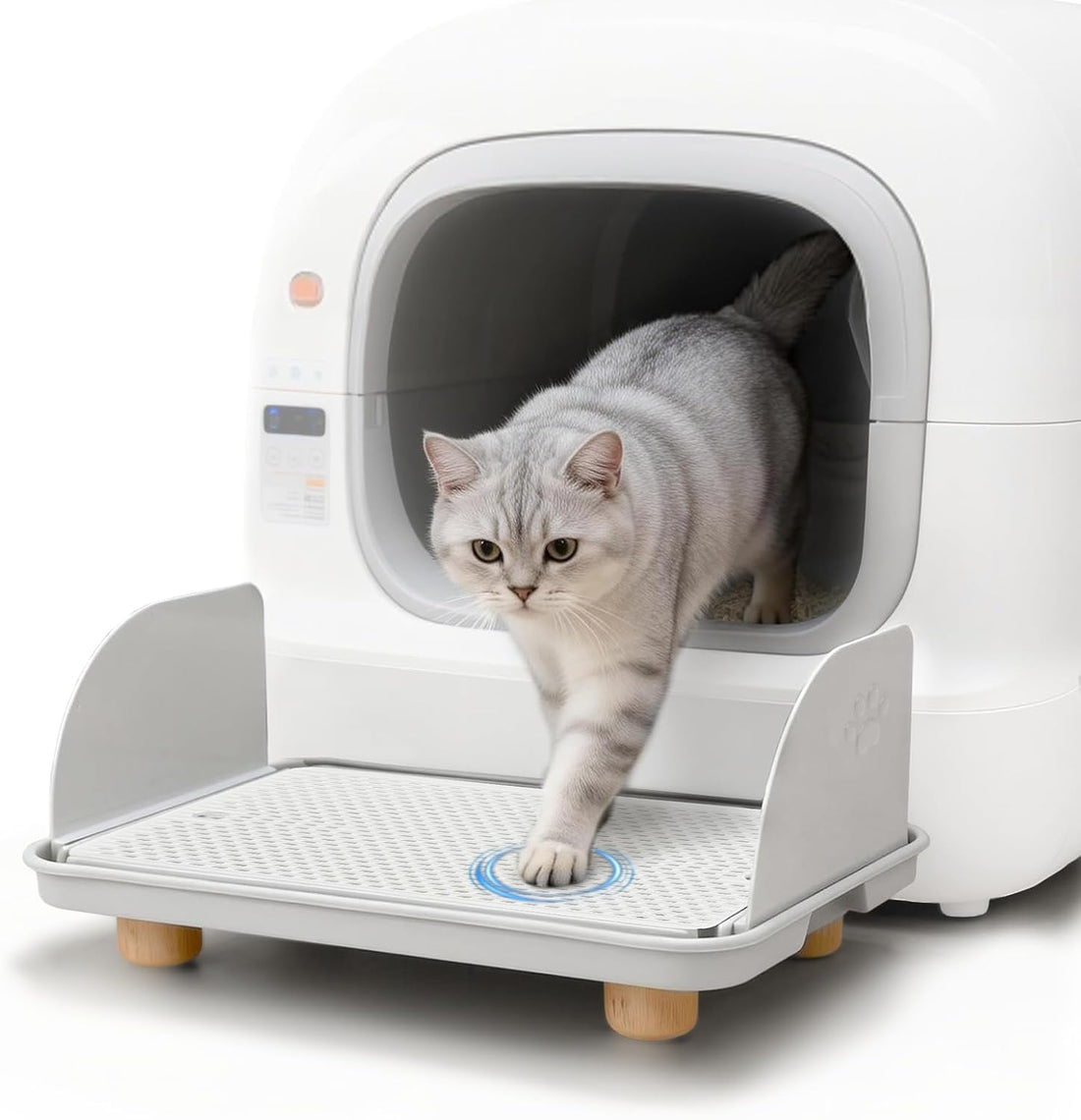 Cat Litter Box Step, Cat Ramp for Litter Box with Baffles, Gray