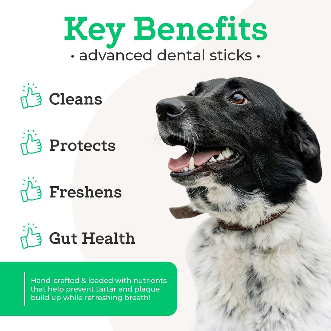 VetPro Complete Dr. Joseph's Advanced Dental Sticks with Prebiotics