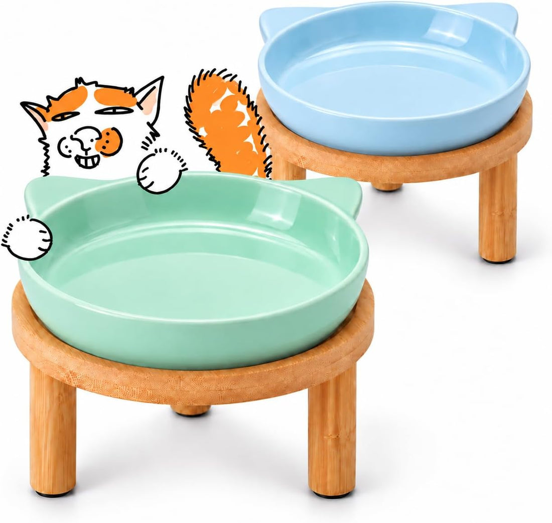 2 Pack Elevated Ceramic Cat Bowls with Bamboo Stand for Cat Bowl