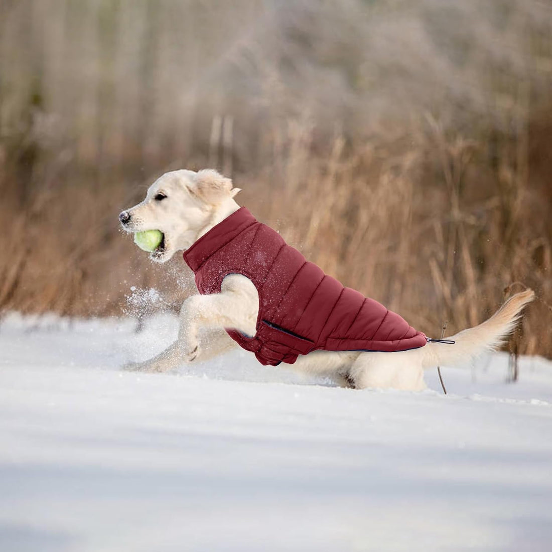 Lelepet Reversible Dog Coat Windproof Dog Jacket Lightweight Puffer