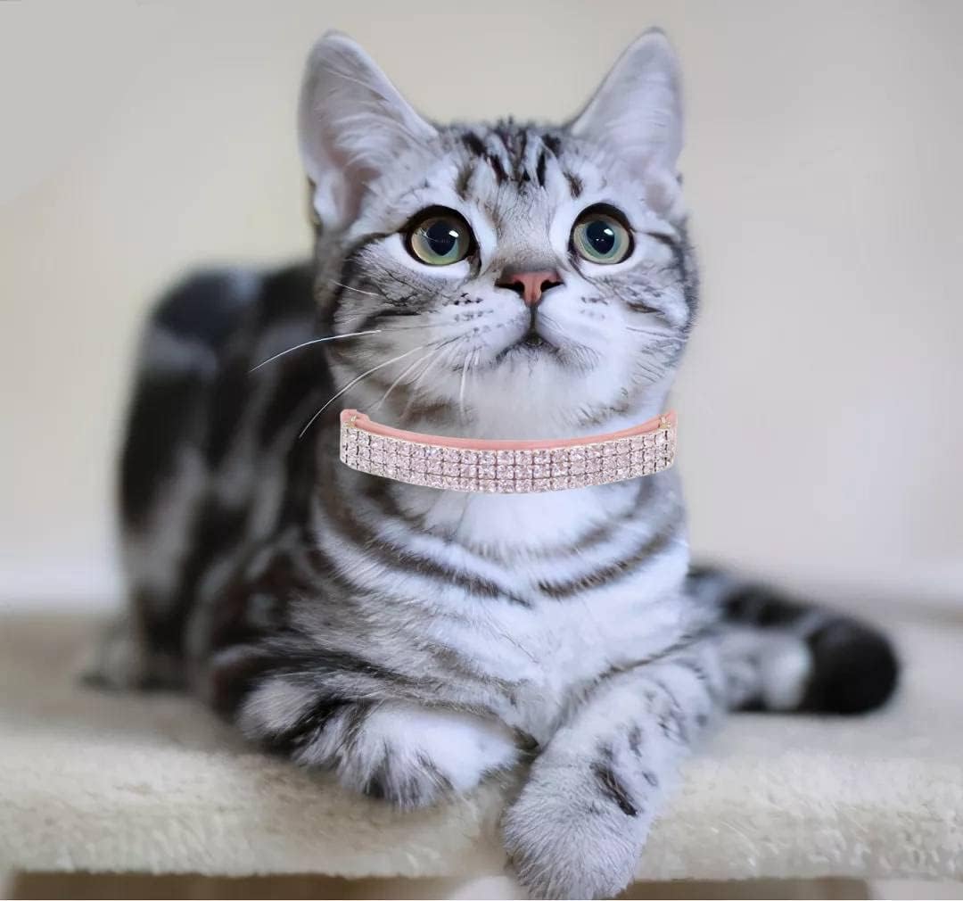 THAIN Rhinestones Cat Dog Collar Soft Velvet Safe Adjustable Collar