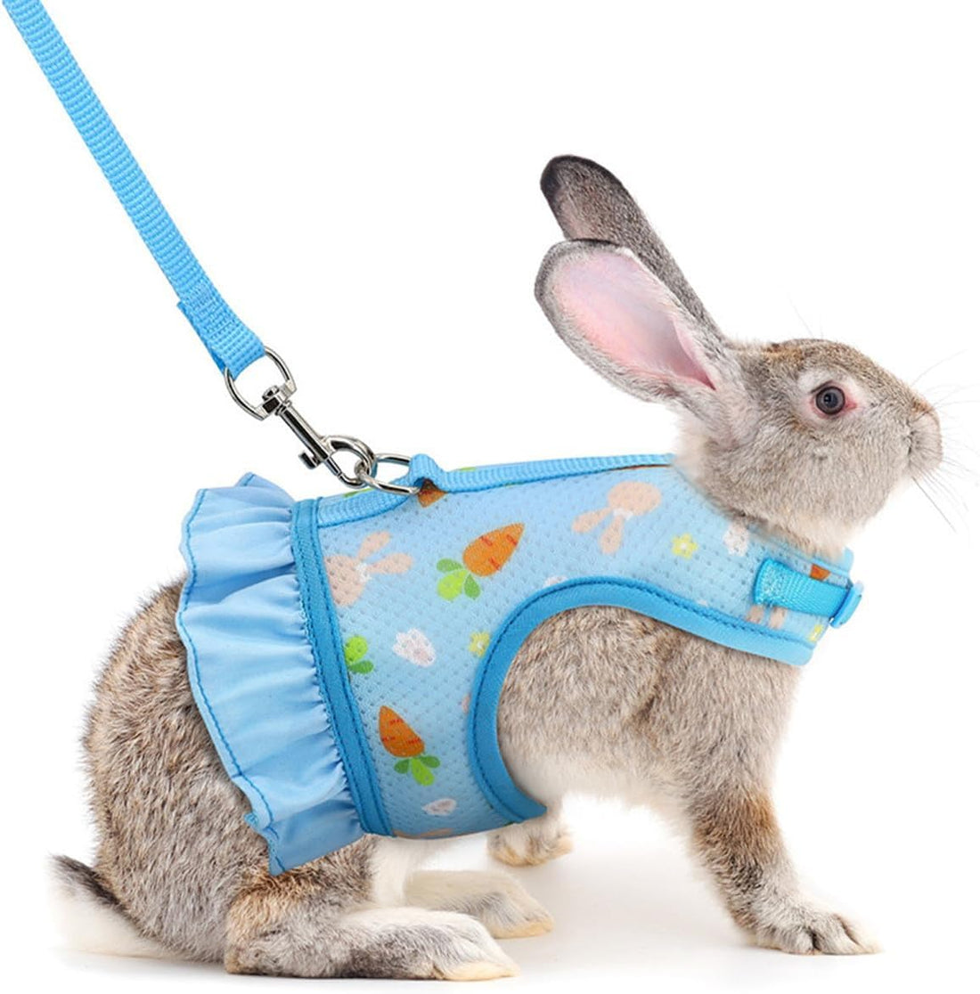 Cute Bunny Harness and Leash Set