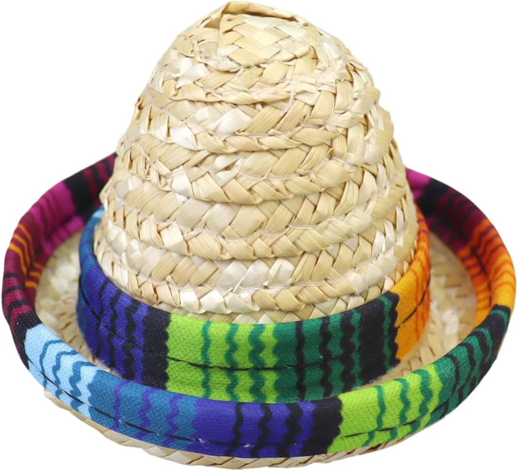 Fiesta Costume for Chickens Includes Sombrero and Serape Poncho