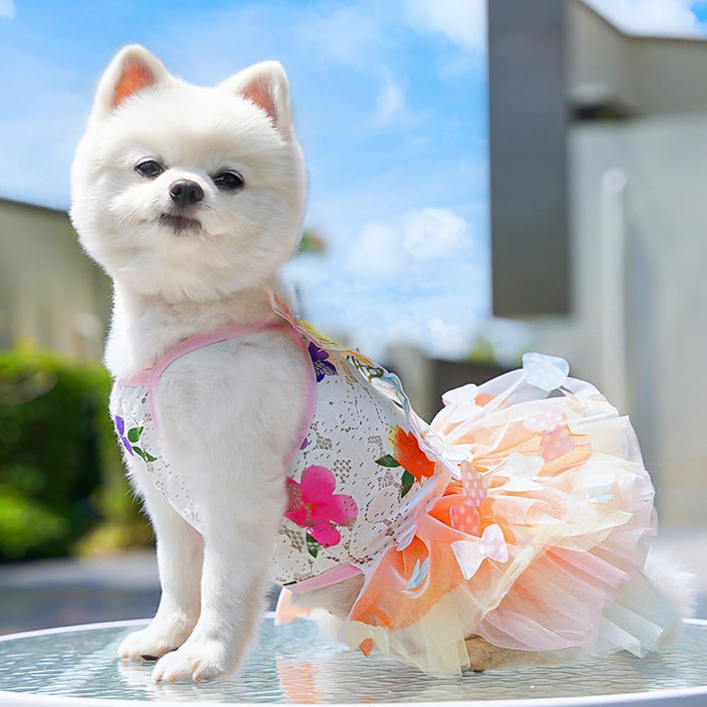 Dog Rainbow Butterfly Princess Dress Summer Thin