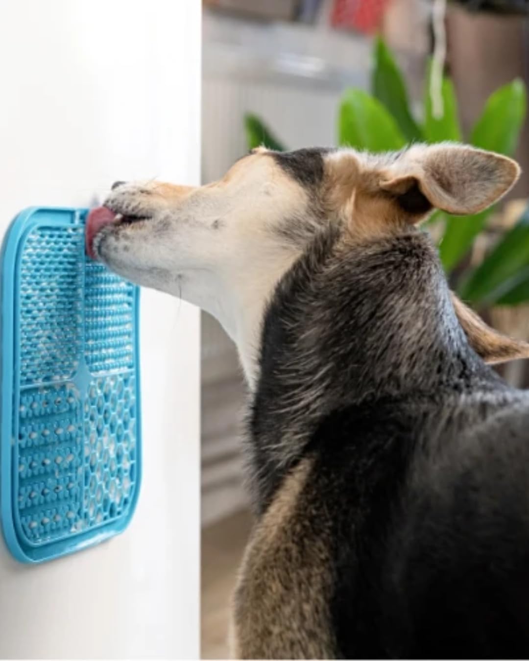 Dog Lick Mat Set, 2 Lick Mats for Dogs with Spatula & Brush