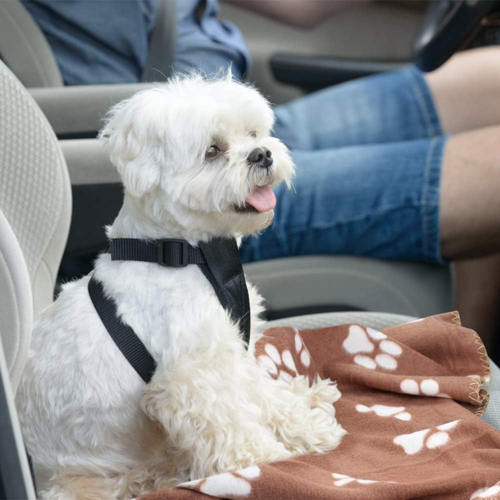 Comsmart Dog Blankets for Small Dogs
