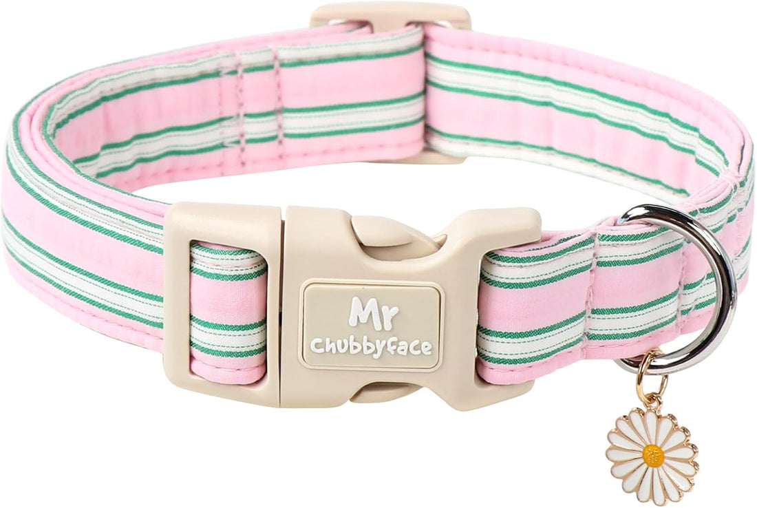 ·MR. CHUBBYFACE· Halloween Pink Pumpkin Dog Collar for Large Dogs
