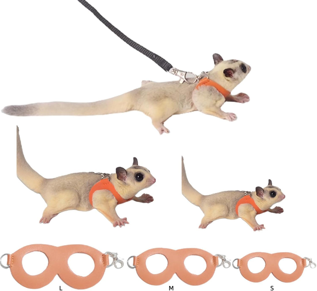 MANON ROSA Sugar Glider Harness and Leash Set, Adjustable 3 Pcs Vest