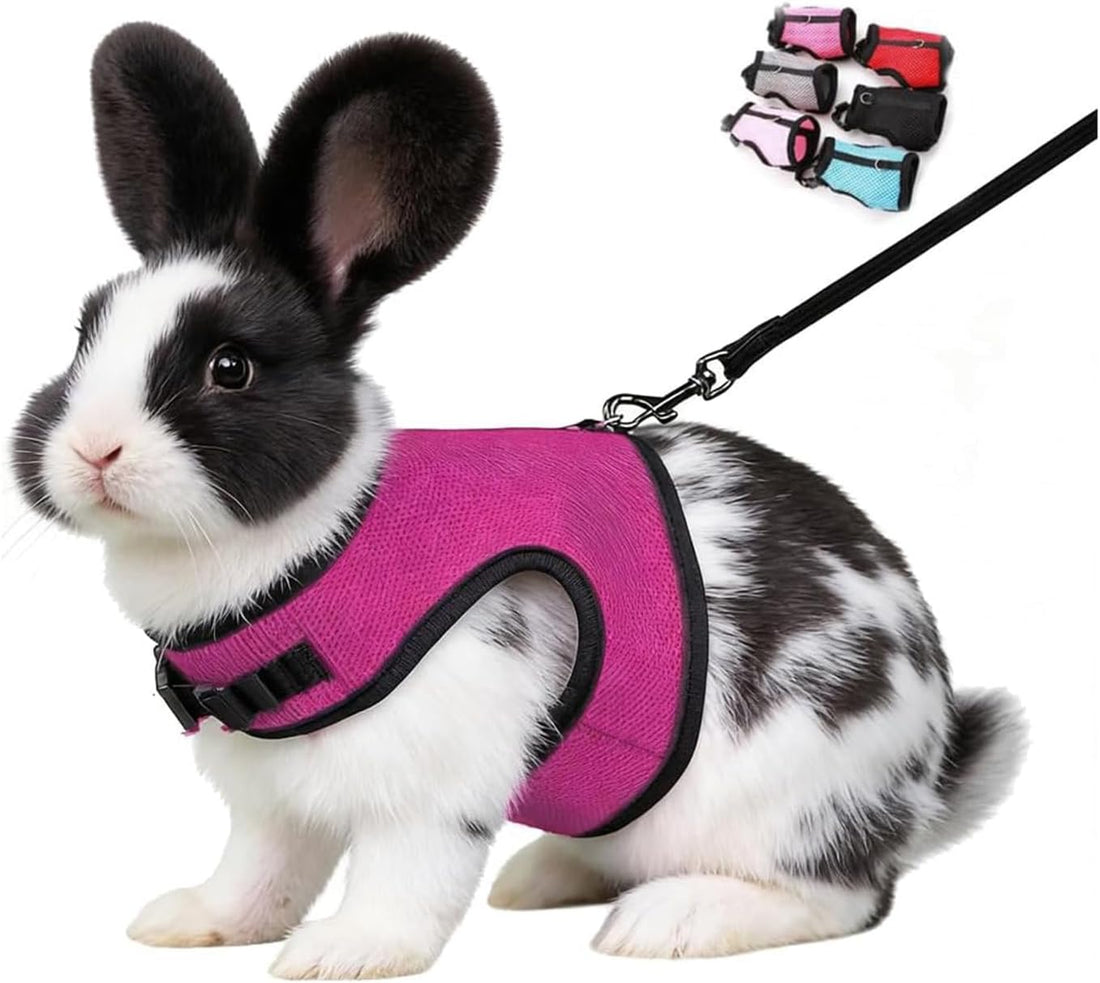 Escape Proof Rabbit Harness and Leash Set