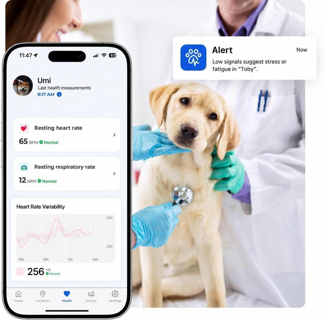 Invoxia Biotracker 2026 Edition - Health and GPS Tracker for Dogs