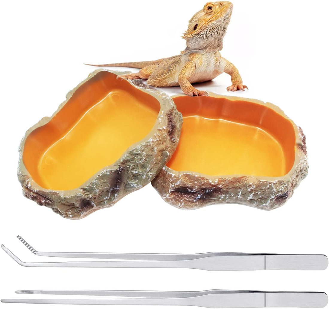 Reptile Growth Reptile Bowl Set Includes Reptile Food Dish,Reptile