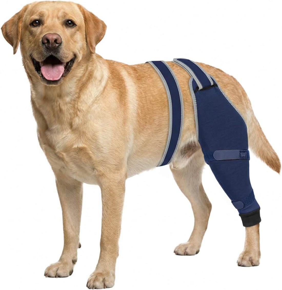 Dog Rear Leg Sleeve to Stop Licking