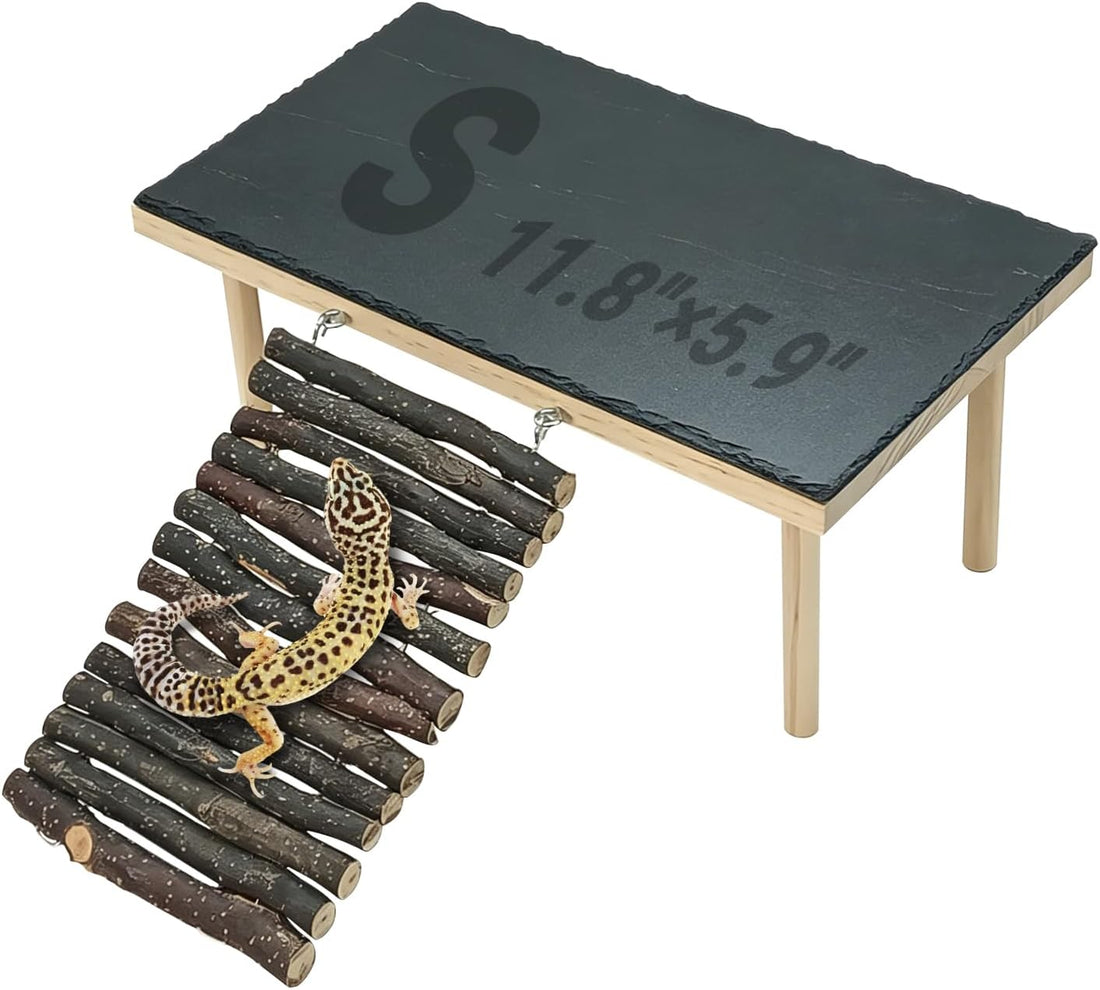 BNOSDM Bearded Dragon Basking Platform Climbing Rocks for Reptiles