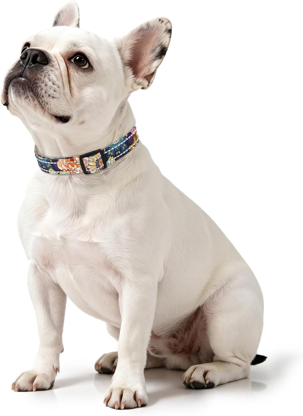 Martingale Dog Collar for Small Dogs, Reflective Puppy Collars