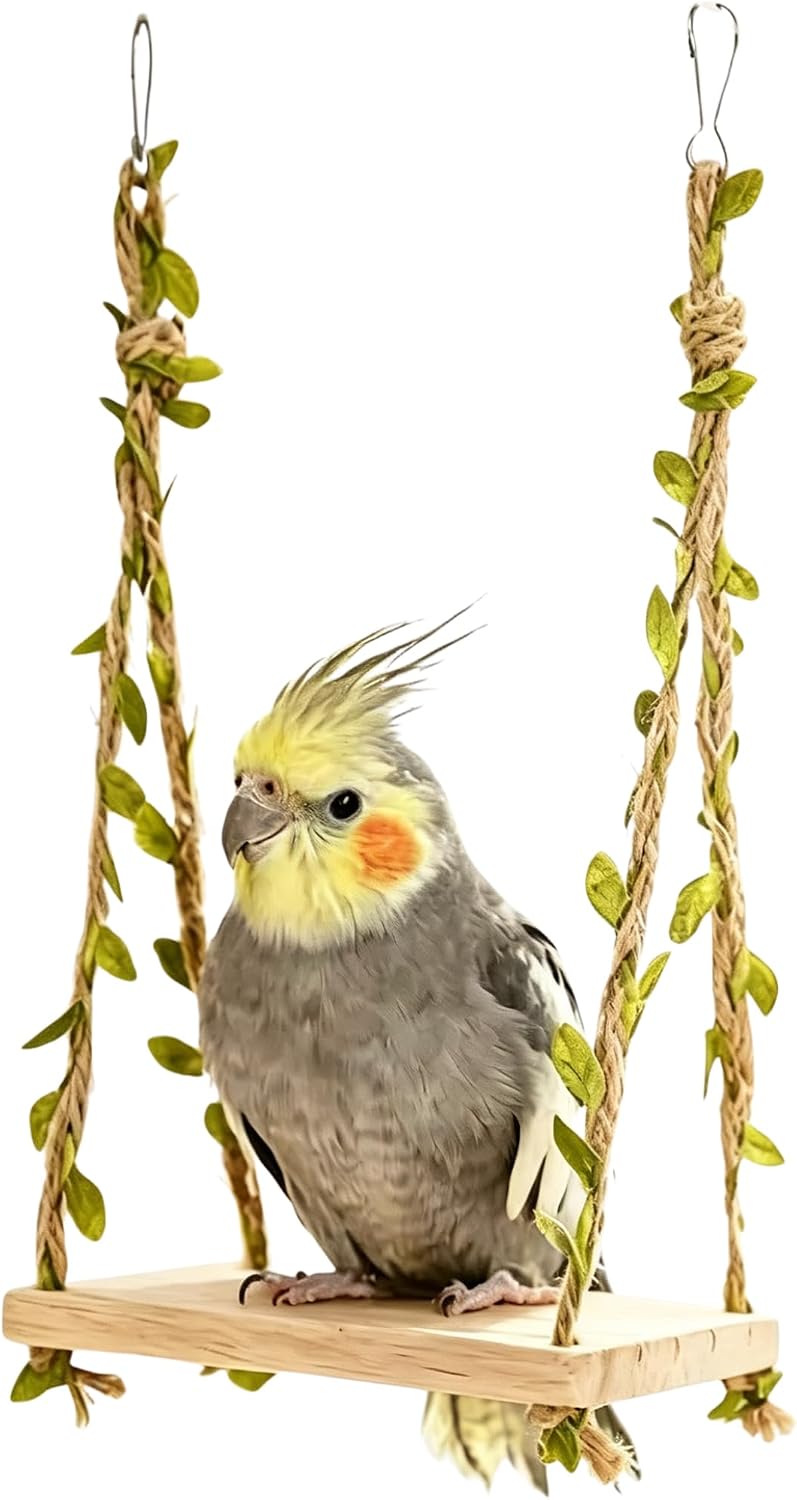 Bird Toys for Parakeets, Wheel Spinning Parrot Toy with Bells