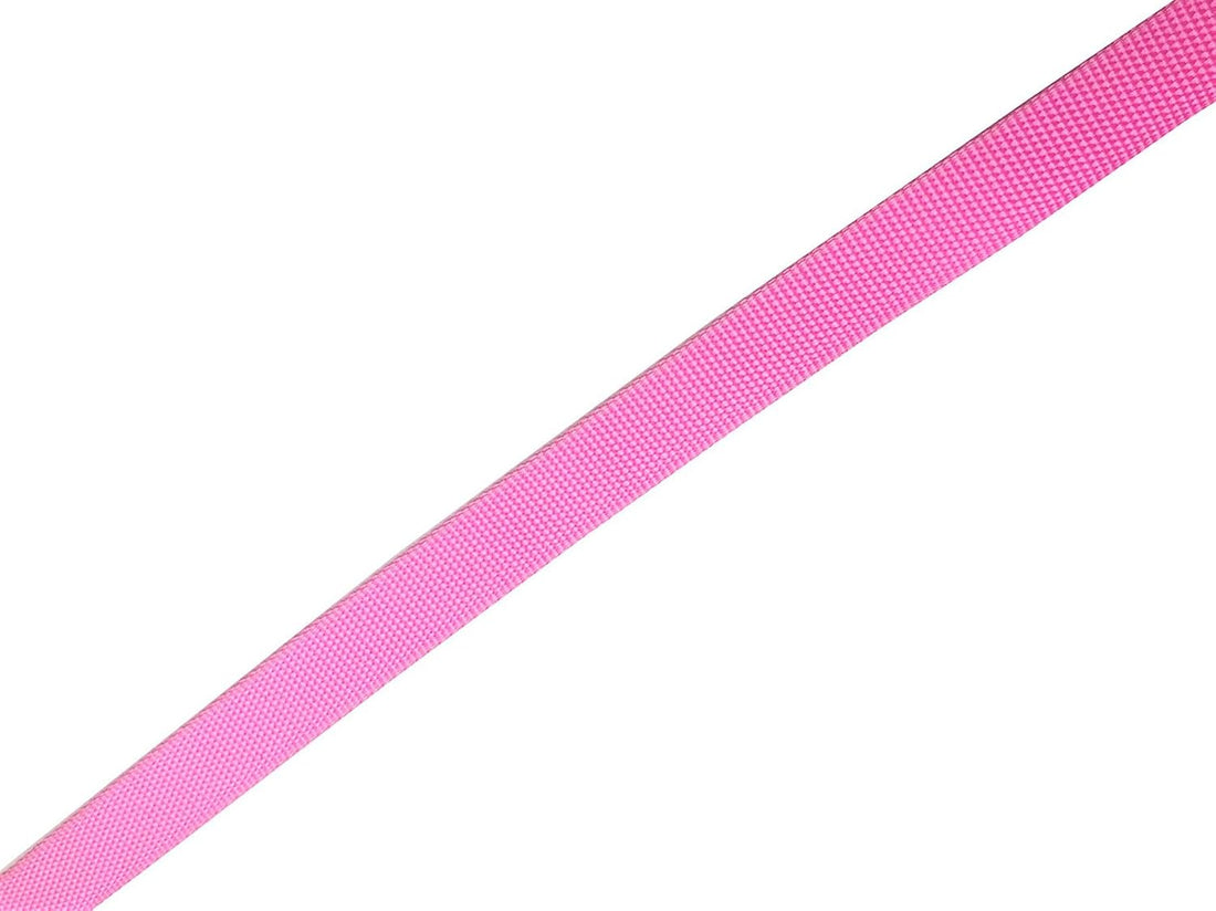 Nylon Dog Leash 8 Feet Long, Walking Training Dog Leashes for Medium