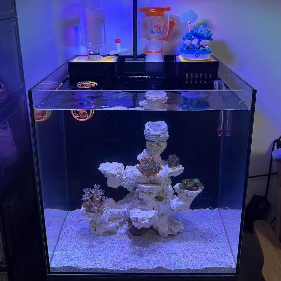 YZHZOM Dry Base Rock for Aquarium White Coral Ornament Sea Base Rocks