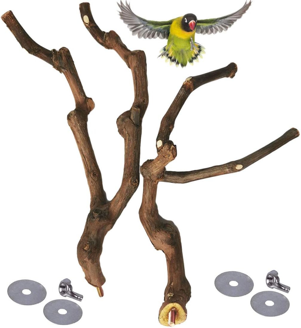 kathson Natural Parrot Perch Bird Stand Pole Wild Grape Stick Paw