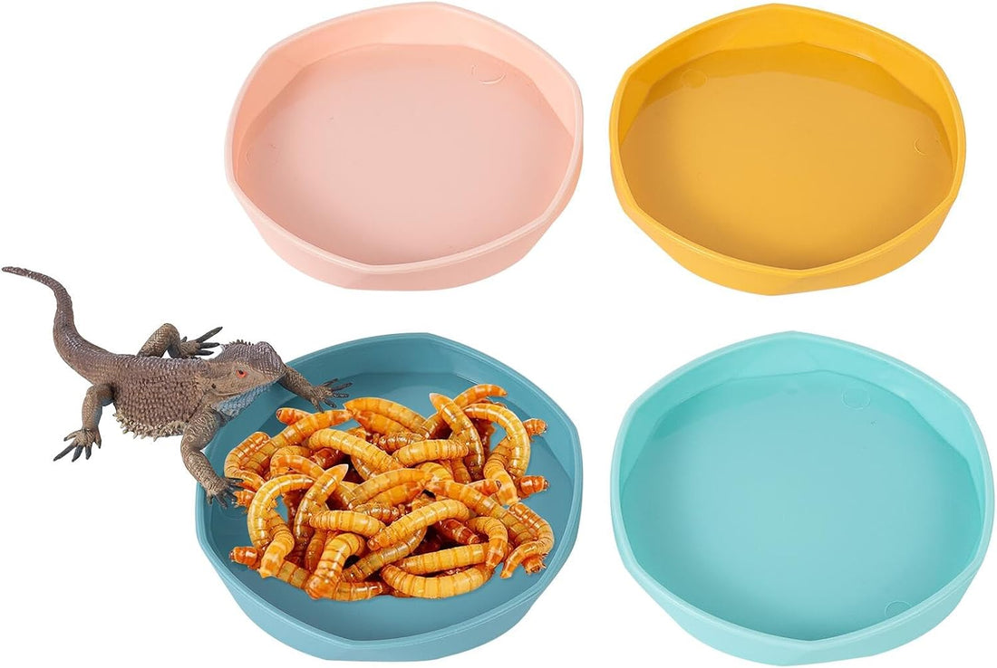 COMSUN 4 Pack Small Reptile Food Dish Bowl