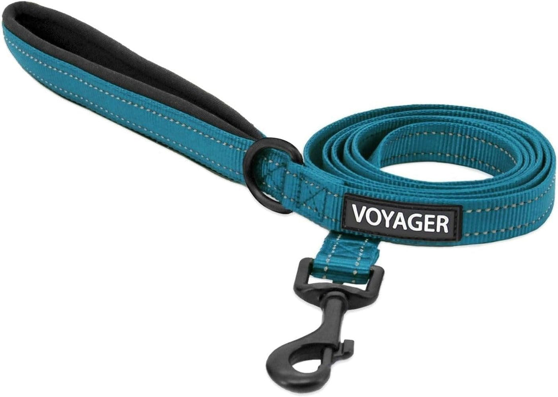 Best Pet Supplies Voyager Dog Collar Safety Clip with Dual Clasps