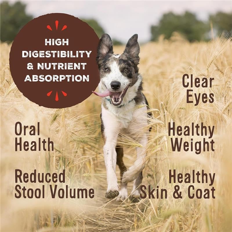 Primal Pronto Mini Nuggets, Freeze Dried Dog Food, Chicken, 16 oz