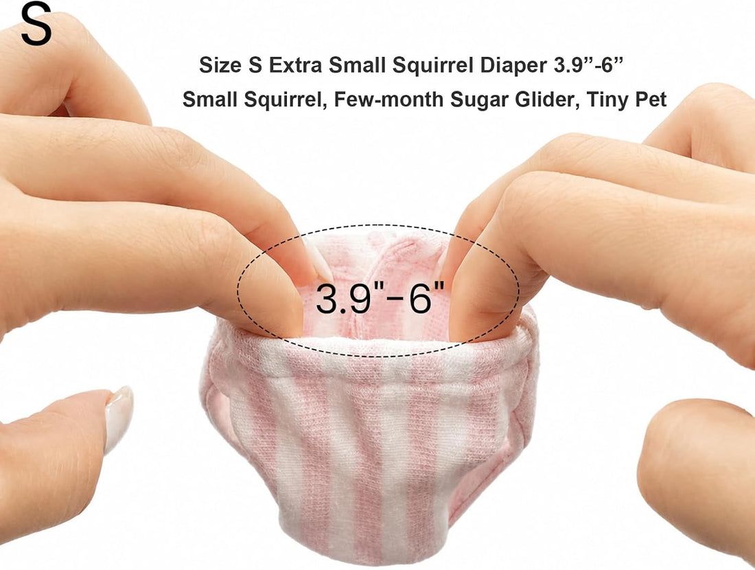 3Pcs Extra Small Squirrel Diapers Reusable (Size S, 3.9" – 6" Waist)
