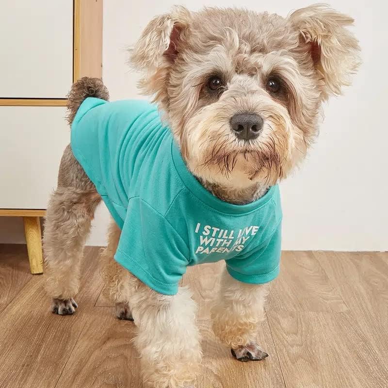 Cute Dog Clothes,Dog T Shirt for Medium and Small Girl Boy