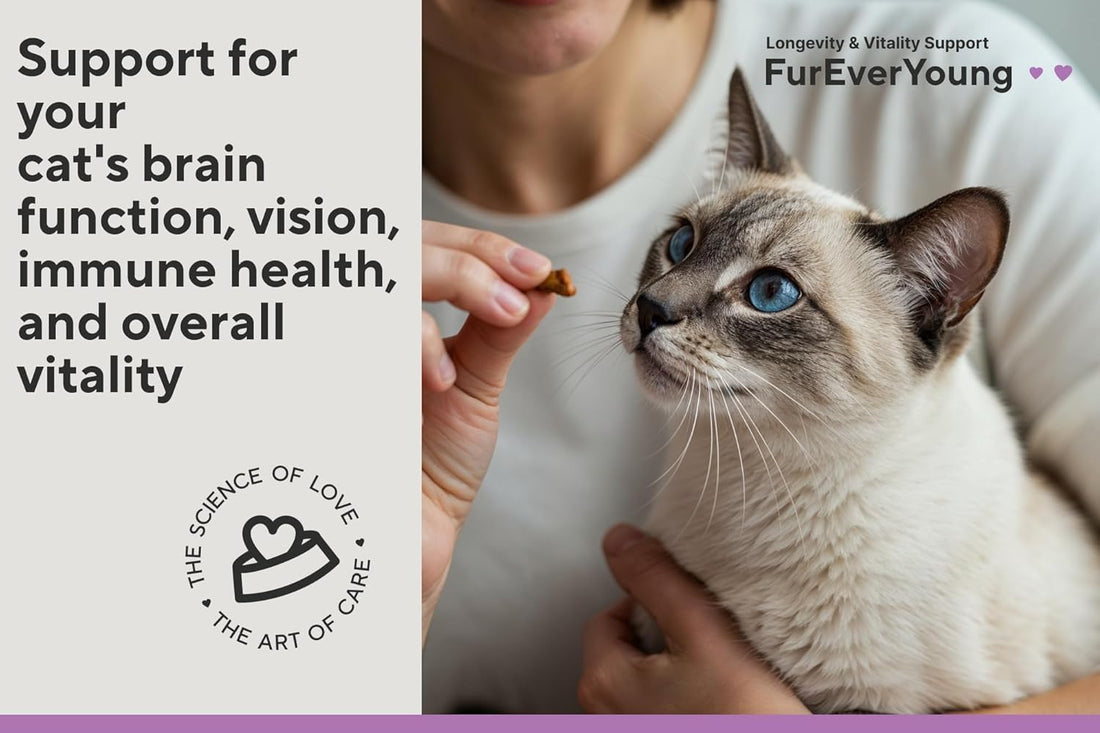 Ear Care for Senior Cats - Brain, Vision & Heart Health Chews