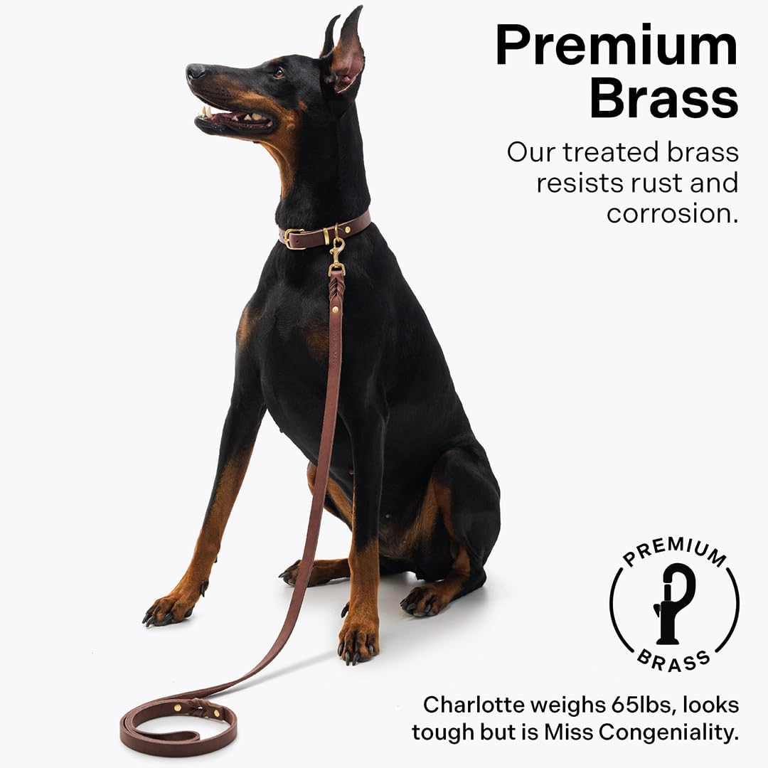Scout Supply Classic Leather Dog Leash