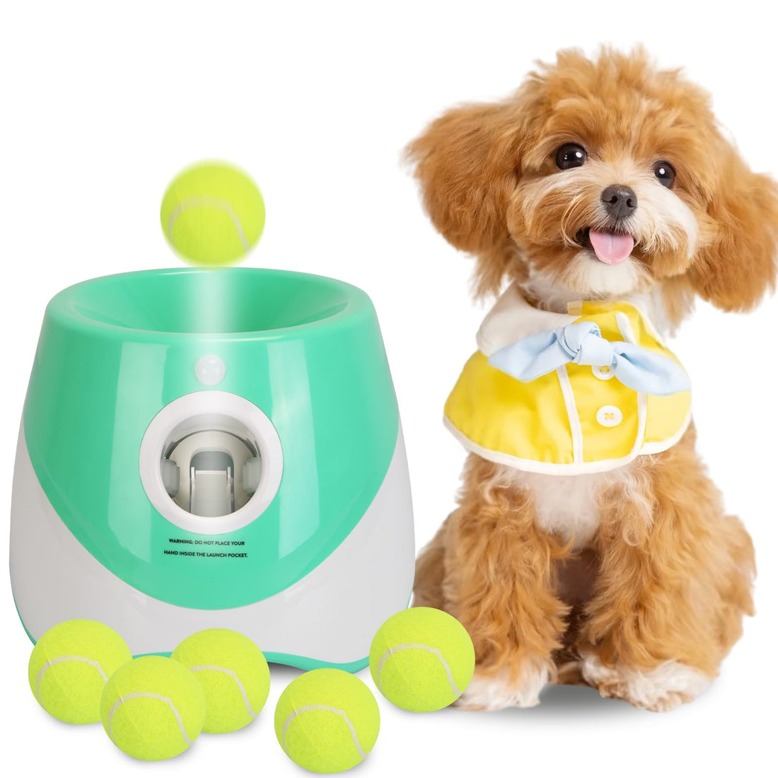 Automatic Ball Launcher for Dogs