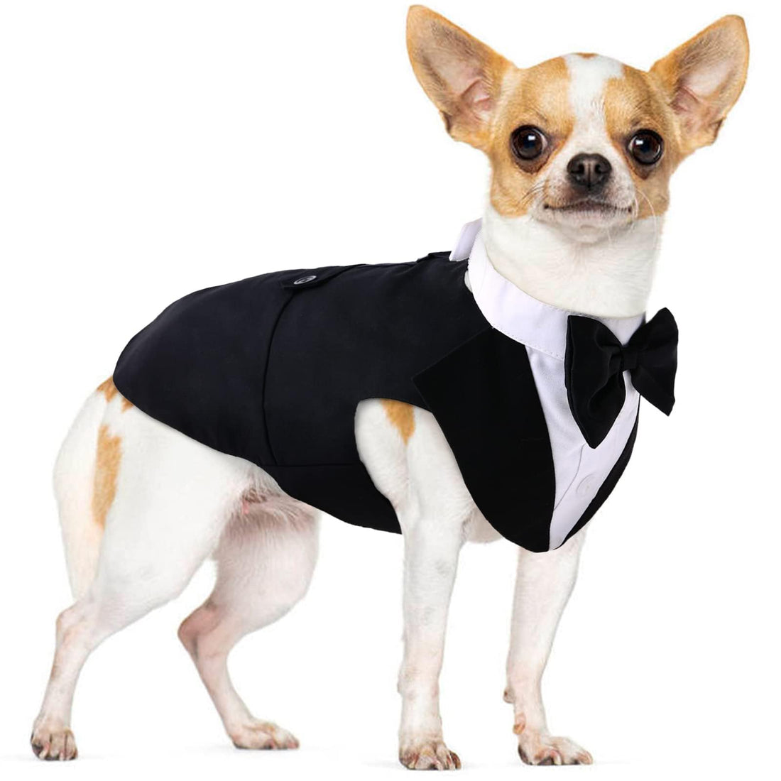 PUMYPOREITY Small Dog Bowtie Tuxedo Suit
