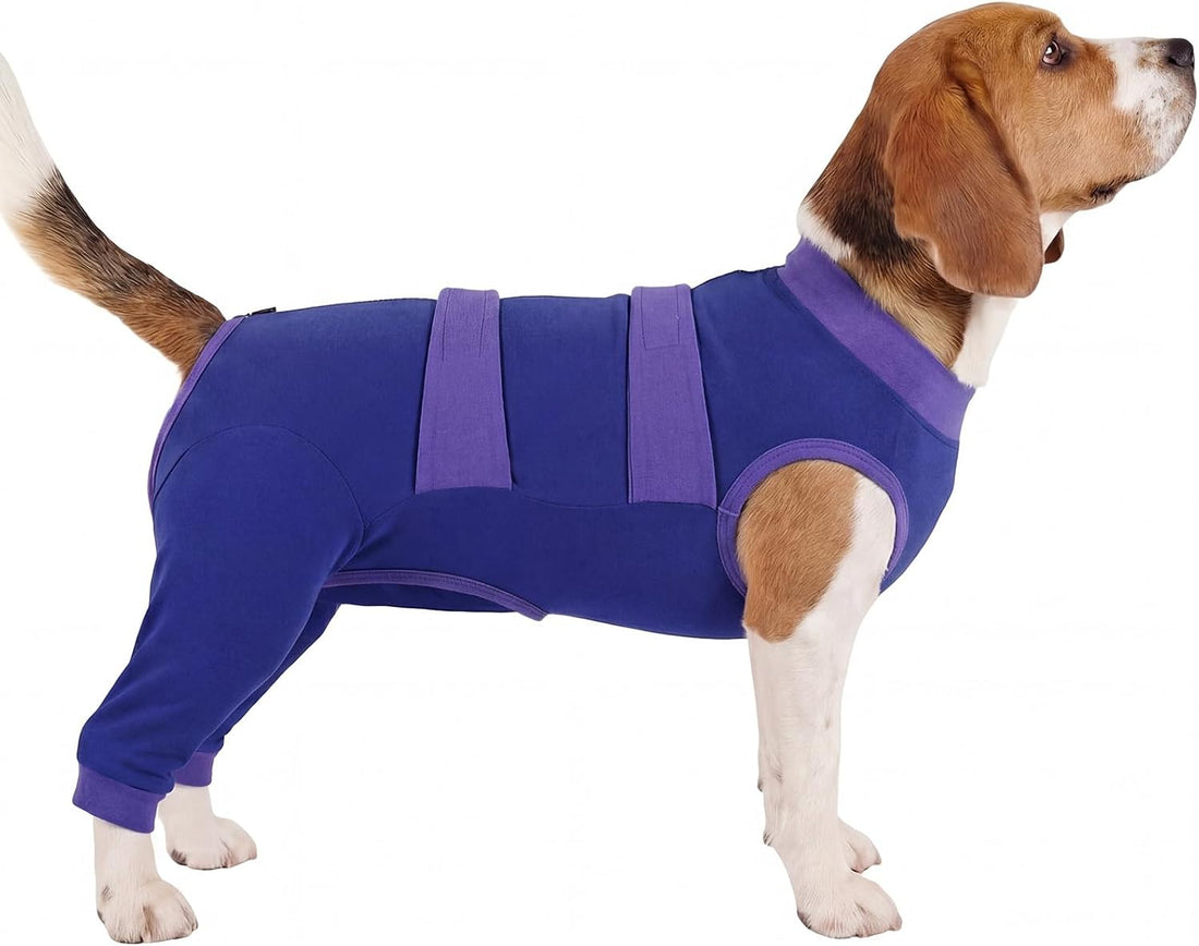 Lelepet Dog Surgery Recovery Suit, Pants for Dogs