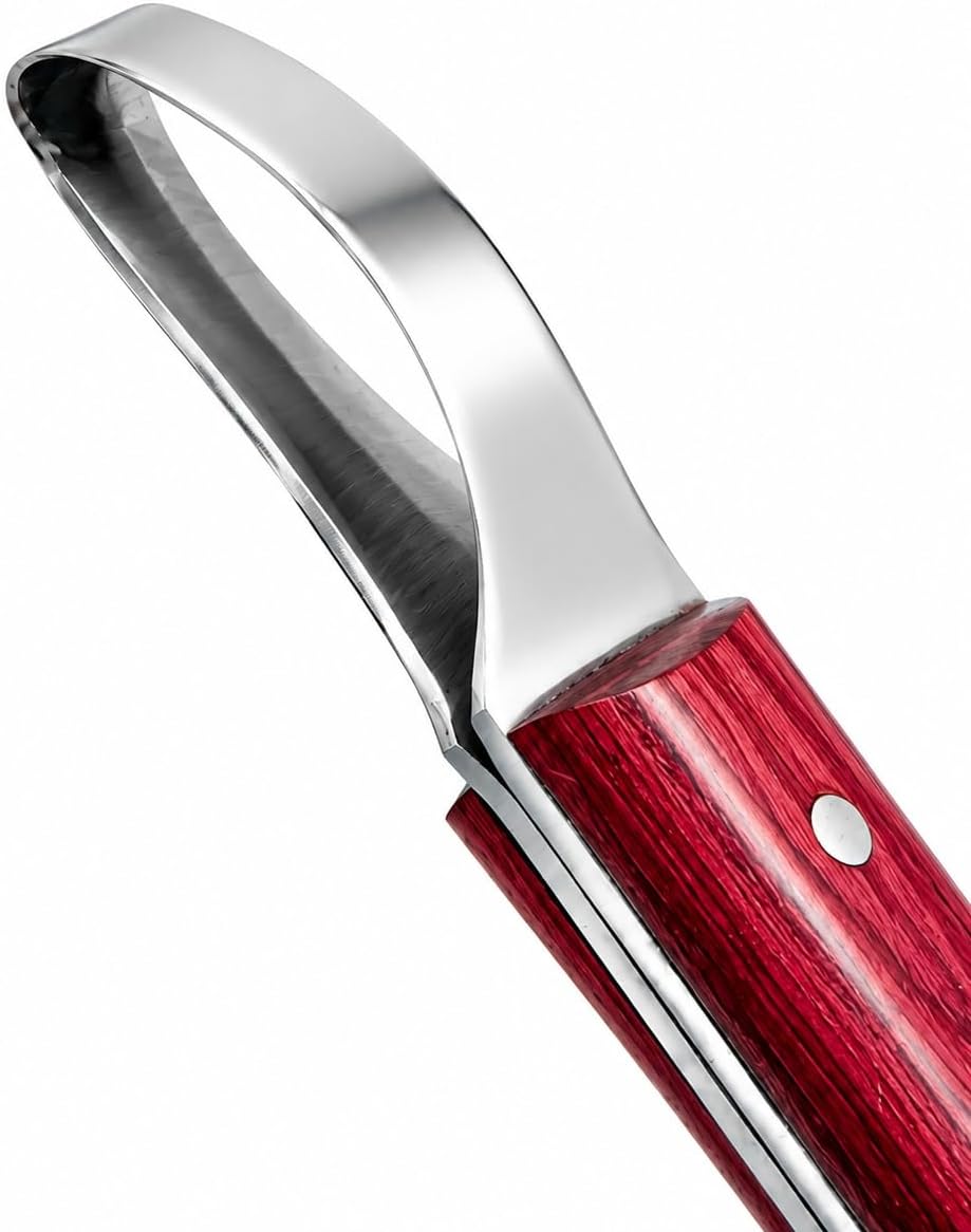 Farrier Loop Hoof Knife, Right-Hand