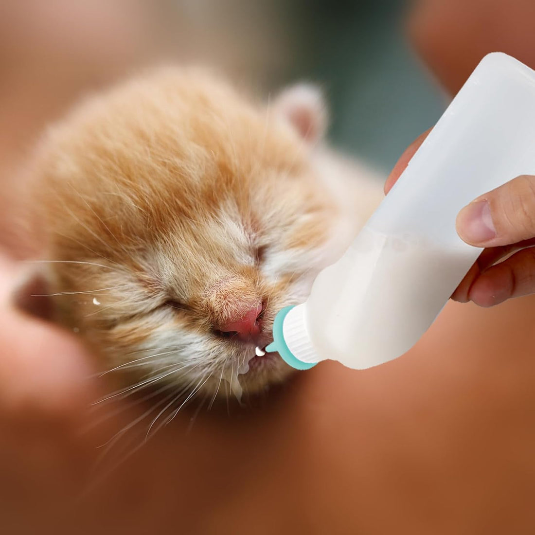5Pack Kitten Bottle for Nursing Puppy Milk Kitten Bottles Feeding Kit