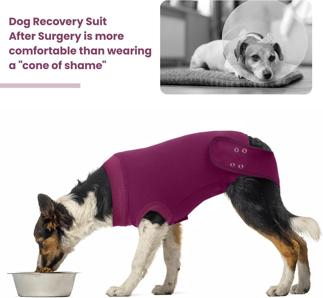 IDOMIK Dog Recovery Suit for Neuter Spay,Anti-Licking Dog Surgical
