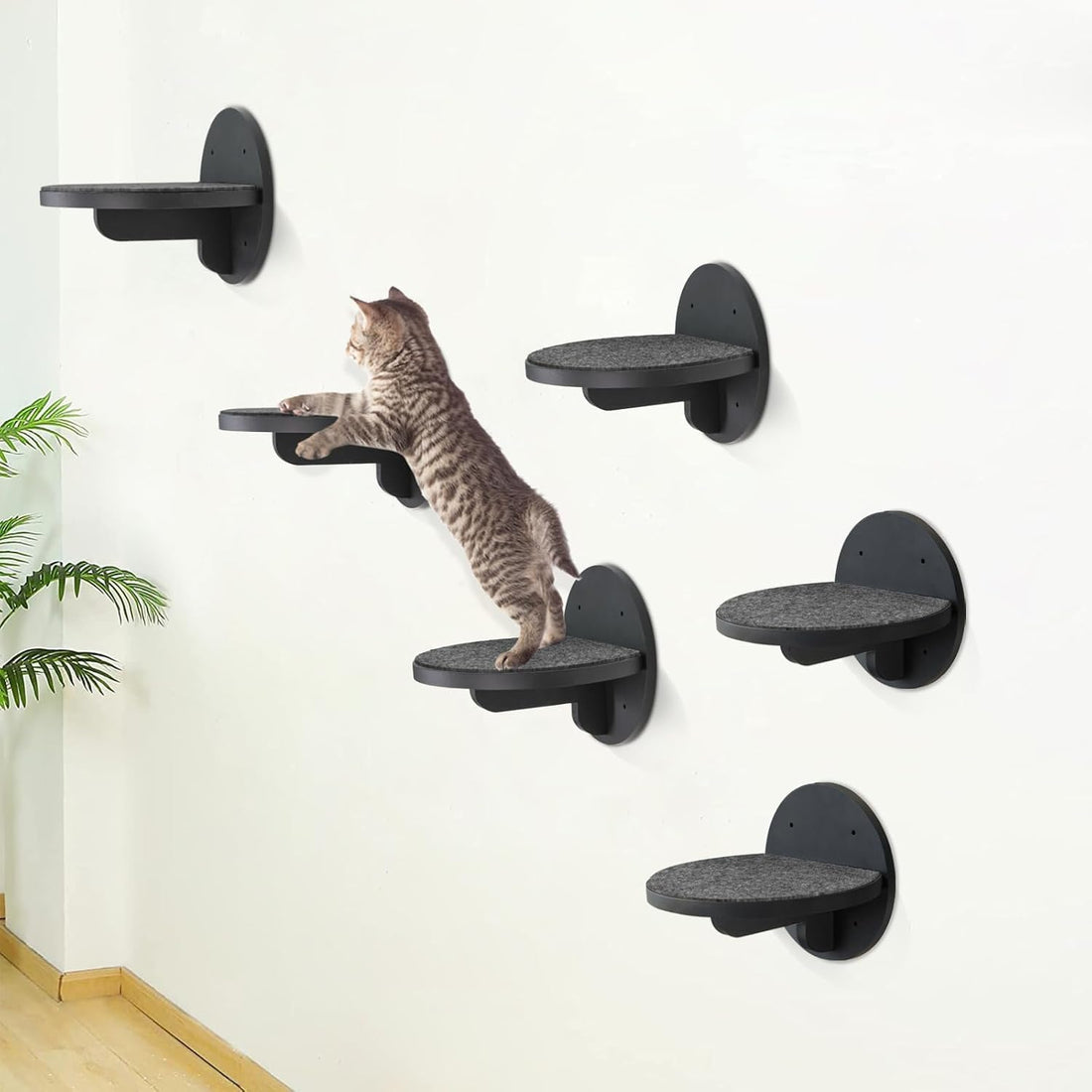 Cat Wall Shelves Furniture Set of 6