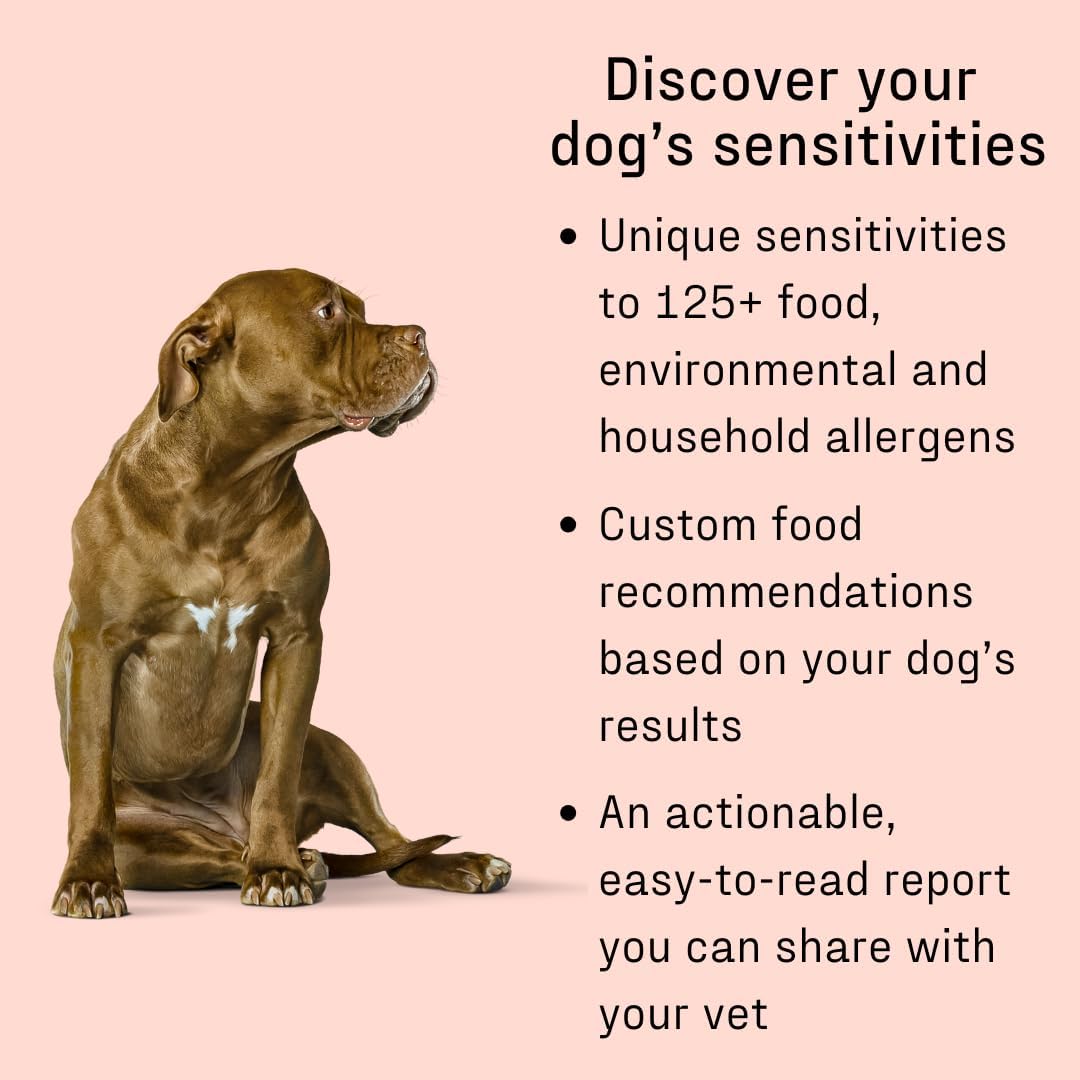 DNA MY DOG β Ultimate Health & Breed Bundle
