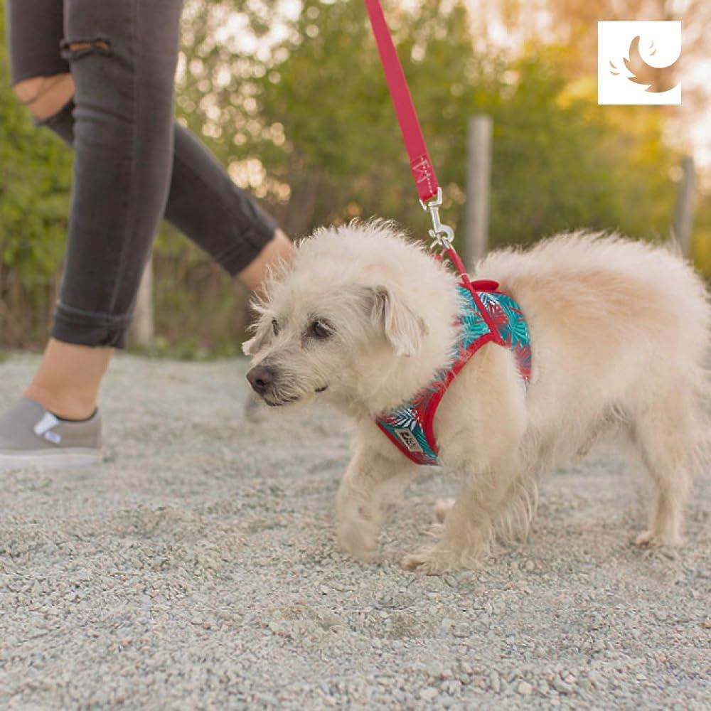 RC Pet Products Cirque Soft Walking Step-in Dog Harness, Small