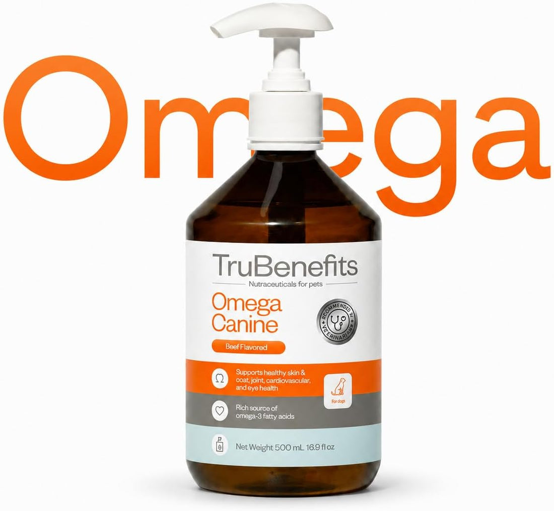 Omega Canine, Omega Oil, 16.9 fl oz, Beef Flavored