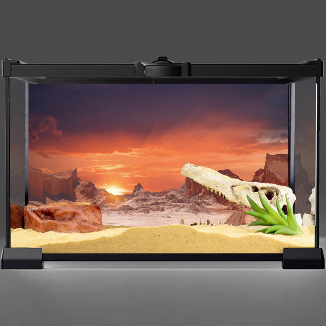 72x18 in Sun Desert Terrarium Backdrop Orange Reptile Habitat