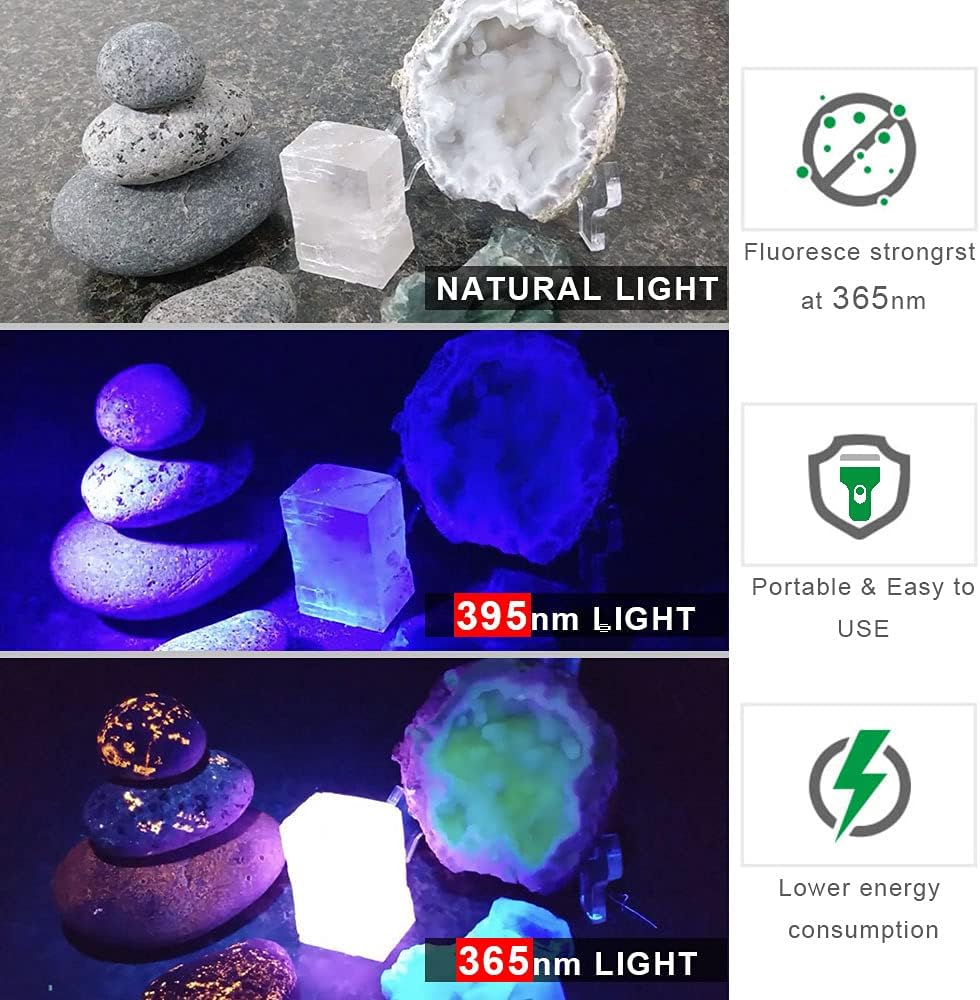 UV Black Light 365 nm Rechargeable Flashlight with Filter for Pet