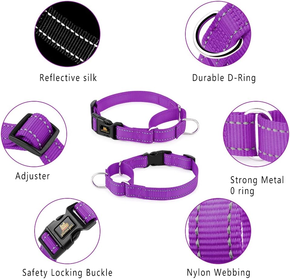PLUTUS PET Reflective Martingale Collar with Quick Snap Buckle,No