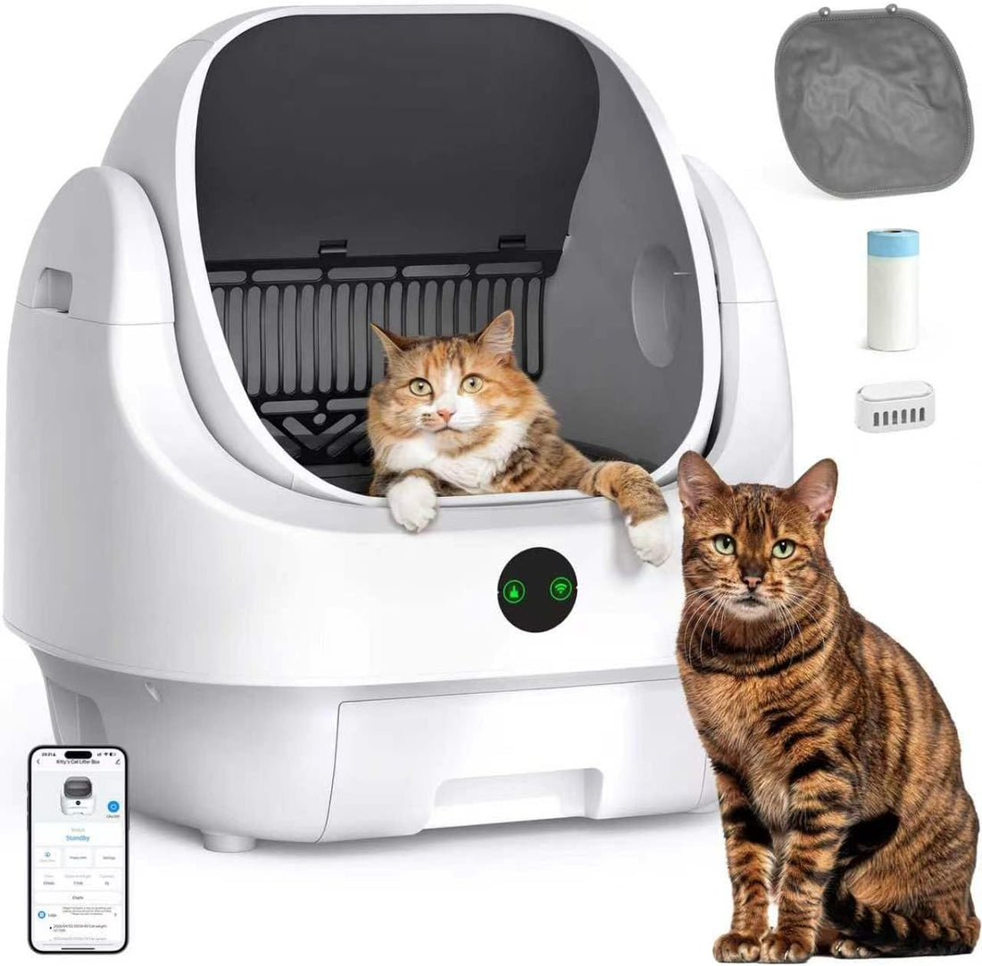 Open-Top Automatic Litter Box, Odor Control, Ready to Use