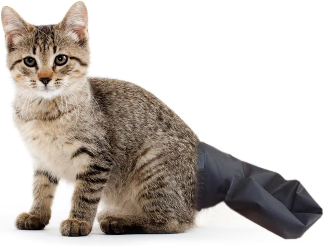 Cat Tail Protector Cover Cats Tails Wounds Heal Prevent Sleeve