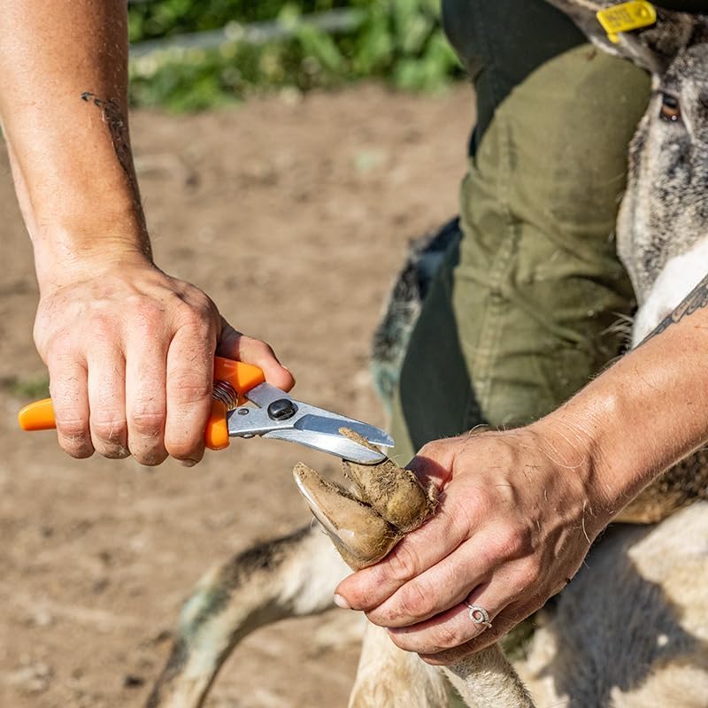 Premier 1 ExoTrim™ Serrated Hoof Trimmer