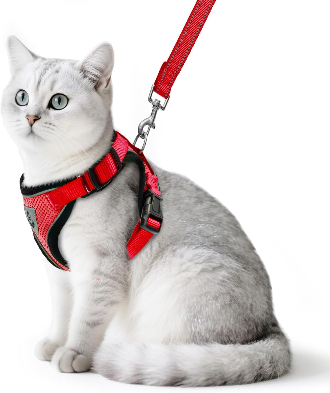 PUPTECK Halloween Cat Harness and Leash Set Escape Proof Reflective